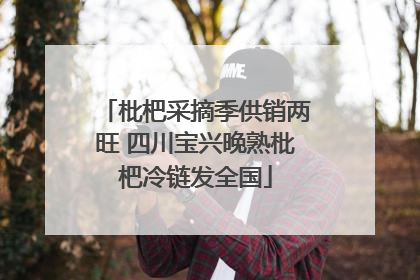 枇杷采摘季供销两旺 四川宝兴晚熟枇杷冷链发全国