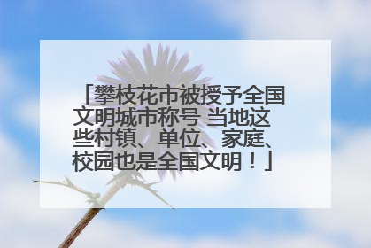 攀枝花市被授予全国文明城市称号 当地这些村镇、单位、家庭、校园也是全国文明！