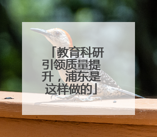教育科研引领质量提升，浦东是这样做的