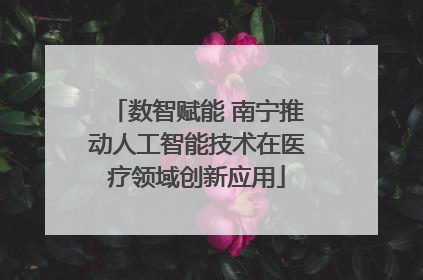 数智赋能 南宁推动人工智能技术在医疗领域创新应用