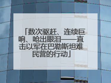 数次驱赶、连续巨响、呛出眼泪——直击以军在巴勒斯坦难民营的行动