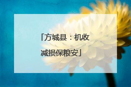 方城县：机收减损保粮安