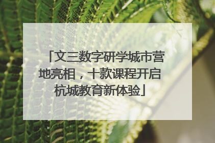 文三数字研学城市营地亮相，十款课程开启杭城教育新体验