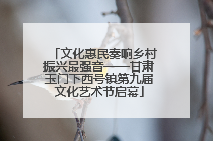 文化惠民奏响乡村振兴最强音——甘肃玉门下西号镇第九届文化艺术节启幕
