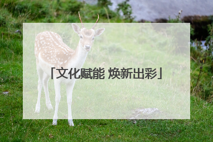 文化赋能 焕新出彩