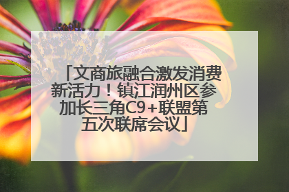 文商旅融合激发消费新活力！镇江润州区参加长三角C9+联盟第五次联席会议