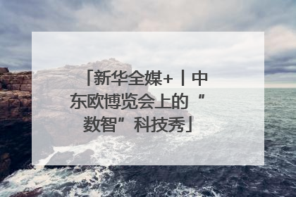 新华全媒+丨中东欧博览会上的“数智”科技秀
