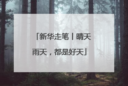 新华走笔丨晴天雨天，都是好天