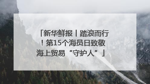 新华鲜报丨踏浪而行！第15个海员日致敬海上贸易“守护人”
