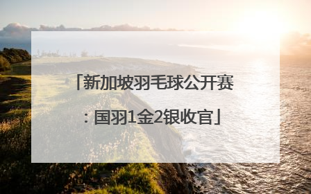 新加坡羽毛球公开赛：国羽1金2银收官