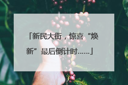 新民大街，惊喜“焕新”最后倒计时……