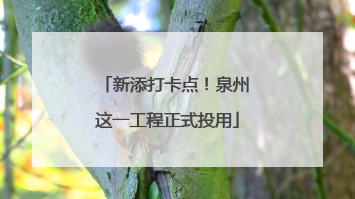 新添打卡点！泉州这一工程正式投用