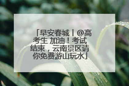 早安春城丨@高考生 加油！考试结束，云南景区请你免费游山玩水