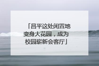 昌平这处闲置地变身大花园，成为校园崭新会客厅