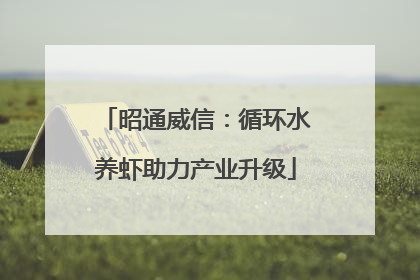 昭通威信：循环水养虾助力产业升级