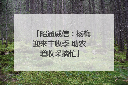 昭通威信：杨梅迎来丰收季 助农增收采摘忙