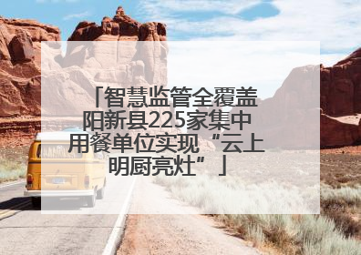 智慧监管全覆盖 阳新县225家集中用餐单位实现“云上明厨亮灶”