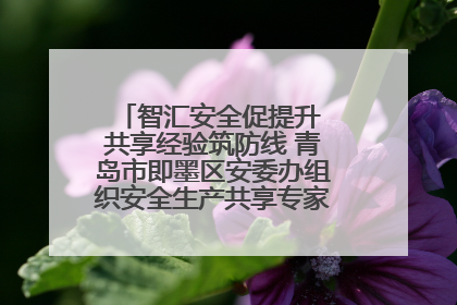 智汇安全促提升 共享经验筑防线 青岛市即墨区安委办组织安全生产共享专家现场观摩学习活动