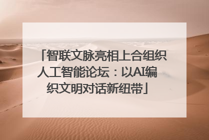 智联文脉亮相上合组织人工智能论坛：以AI编织文明对话新纽带