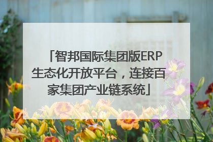 智邦国际集团版ERP生态化开放平台，连接百家集团产业链系统