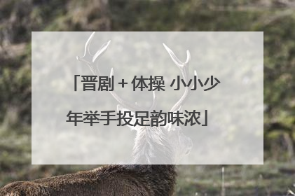 晋剧＋体操 小小少年举手投足韵味浓