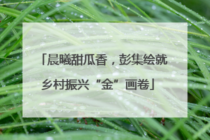 晨曦甜瓜香，彭集绘就乡村振兴“金”画卷