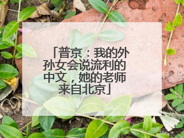 普京：我的外孙女会说流利的中文，她的老师来自北京