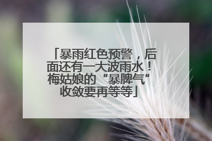 暴雨红色预警，后面还有一大波雨水！梅姑娘的“暴脾气”收敛要再等等