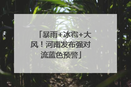 暴雨+冰雹+大风！河南发布强对流蓝色预警