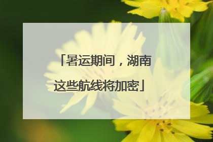 暑运期间，湖南这些航线将加密