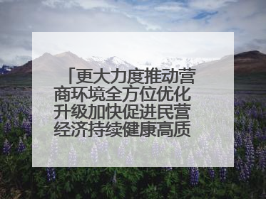 更大力度推动营商环境全方位优化升级加快促进民营经济持续健康高质量发展