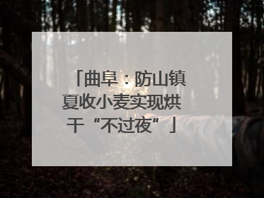 曲阜：防山镇夏收小麦实现烘干“不过夜”
