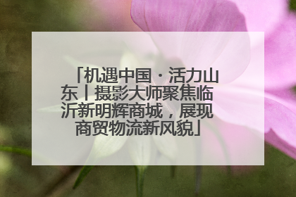 机遇中国・活力山东丨摄影大师聚焦临沂新明辉商城，展现商贸物流新风貌