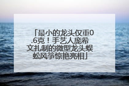 最小的龙头仅重0.6克！手艺人庞希文扎制的微型龙头蜈蚣风筝惊艳亮相