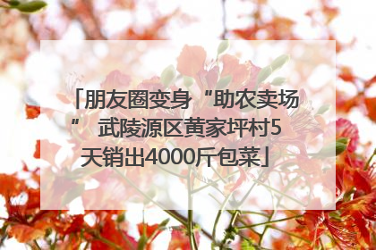 朋友圈变身“助农卖场” 武陵源区黄家坪村5天销出4000斤包菜