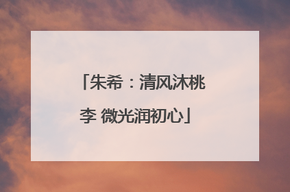 朱希：清风沐桃李 微光润初心