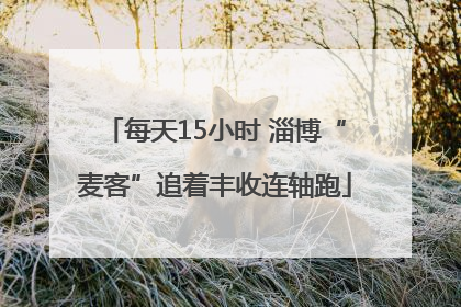 每天15小时 淄博“麦客”追着丰收连轴跑
