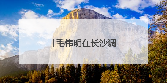 毛伟明在长沙调研中医药工作