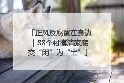 正风反腐就在身边｜88个村摸清家底变“闲”为“宝”