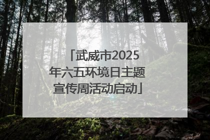 武威市2025年六五环境日主题宣传周活动启动