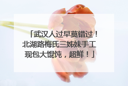 武汉人过早莫错过！北湖路梅氏三姊妹手工现包大馄饨，超鲜！