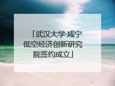 武汉大学·咸宁低空经济创新研究院签约成立