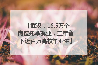 武汉：18.5万个岗位托举就业，三年留下近百万高校毕业生