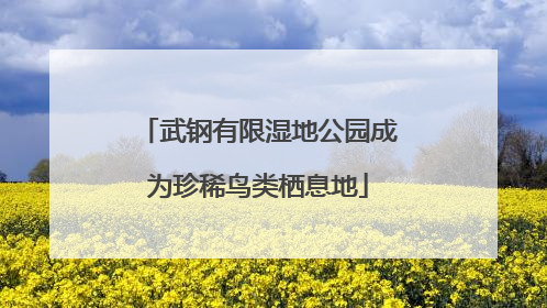 武钢有限湿地公园成为珍稀鸟类栖息地