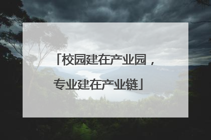 校园建在产业园，专业建在产业链