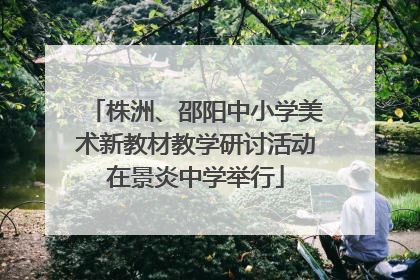 株洲、邵阳中小学美术新教材教学研讨活动在景炎中学举行