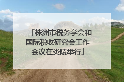 株洲市税务学会和国际税收研究会工作会议在炎陵举行
