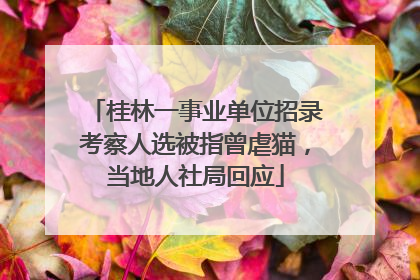 桂林一事业单位招录考察人选被指曾虐猫，当地人社局回应