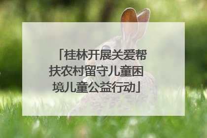 桂林开展关爱帮扶农村留守儿童困境儿童公益行动