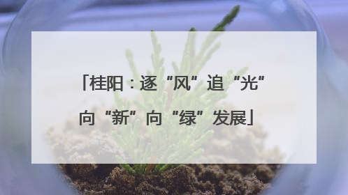 桂阳：逐“风”追“光” 向“新”向“绿”发展